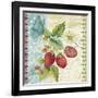 Vintage Fruit-Strawberries-Jean Plout-Framed Giclee Print