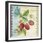 Vintage Fruit-Strawberries-Jean Plout-Framed Giclee Print