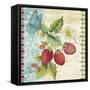 Vintage Fruit-Strawberries-Jean Plout-Framed Stretched Canvas