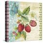 Vintage Fruit-Strawberries-Jean Plout-Stretched Canvas
