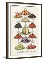 Vintage Fruit-The Vintage Collection-Framed Giclee Print