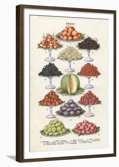 Vintage Fruit-The Vintage Collection-Framed Giclee Print