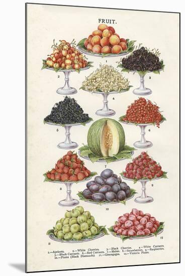 Vintage Fruit-The Vintage Collection-Mounted Giclee Print