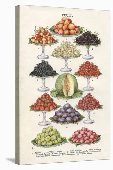 Vintage Fruit-The Vintage Collection-Stretched Canvas