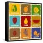 Vintage Fruits Icons-radubalint-Framed Stretched Canvas