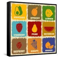 Vintage Fruits Icons-radubalint-Framed Stretched Canvas