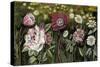 Vintage Garden I-Naomi McCavitt-Stretched Canvas