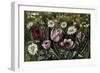 Vintage Garden II-Naomi McCavitt-Framed Art Print