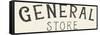 Vintage General Store Sign-Wild Apple Portfolio-Framed Stretched Canvas