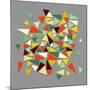 Vintage Geometric Elements-cienpies-Mounted Art Print