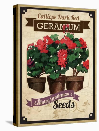 Vintage Geranium Seed Packet-null-Stretched Canvas