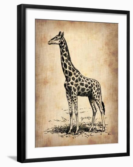 Vintage Giraffe-NaxArt-Framed Art Print