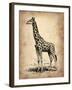 Vintage Giraffe-NaxArt-Framed Art Print