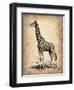 Vintage Giraffe-NaxArt-Framed Art Print