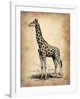 Vintage Giraffe-NaxArt-Framed Art Print