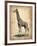 Vintage Giraffe-NaxArt-Framed Art Print