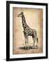 Vintage Giraffe-NaxArt-Framed Art Print