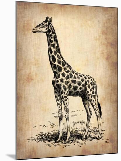 Vintage Giraffe-NaxArt-Mounted Art Print