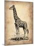 Vintage Giraffe-NaxArt-Mounted Art Print