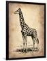 Vintage Giraffe-NaxArt-Framed Premium Giclee Print