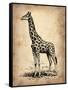 Vintage Giraffe-NaxArt-Framed Stretched Canvas