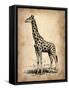 Vintage Giraffe-NaxArt-Framed Stretched Canvas