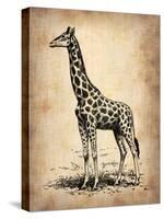 Vintage Giraffe-NaxArt-Stretched Canvas