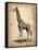 Vintage Giraffe-NaxArt-Framed Stretched Canvas