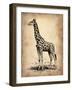 Vintage Giraffe-NaxArt-Framed Art Print