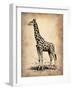 Vintage Giraffe-NaxArt-Framed Art Print