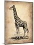 Vintage Giraffe-NaxArt-Mounted Art Print
