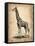 Vintage Giraffe-NaxArt-Framed Stretched Canvas