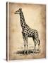 Vintage Giraffe-NaxArt-Stretched Canvas