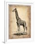 Vintage Giraffe-NaxArt-Framed Art Print