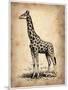 Vintage Giraffe-NaxArt-Mounted Art Print