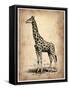 Vintage Giraffe-NaxArt-Framed Stretched Canvas