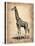 Vintage Giraffe-NaxArt-Stretched Canvas