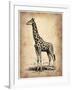 Vintage Giraffe-NaxArt-Framed Art Print