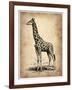 Vintage Giraffe-NaxArt-Framed Art Print