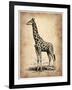 Vintage Giraffe-NaxArt-Framed Art Print