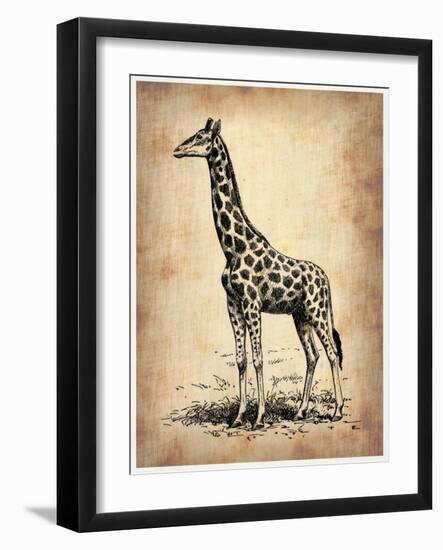 Vintage Giraffe-NaxArt-Framed Art Print