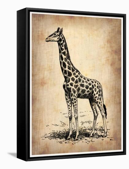 Vintage Giraffe-NaxArt-Framed Stretched Canvas