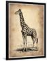 Vintage Giraffe-NaxArt-Framed Art Print