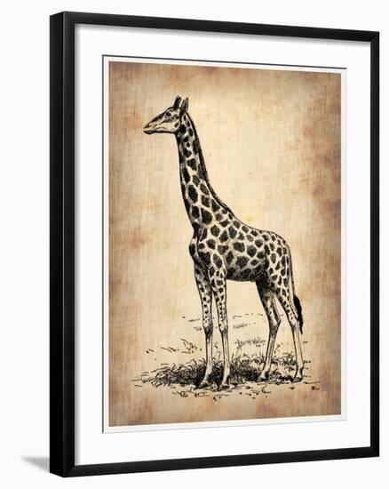 Vintage Giraffe-NaxArt-Framed Art Print