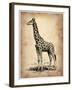 Vintage Giraffe-NaxArt-Framed Art Print