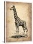 Vintage Giraffe-NaxArt-Stretched Canvas