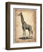 Vintage Giraffe-NaxArt-Framed Art Print