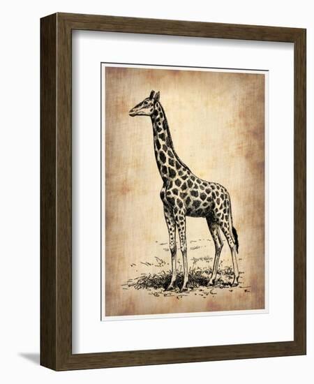 Vintage Giraffe-NaxArt-Framed Art Print