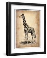 Vintage Giraffe-NaxArt-Framed Art Print