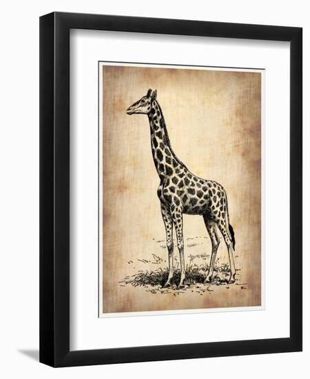 Vintage Giraffe-NaxArt-Framed Art Print